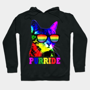 Gay Pride Shirts for Women Men LGBT Daddy Gift Hoodie